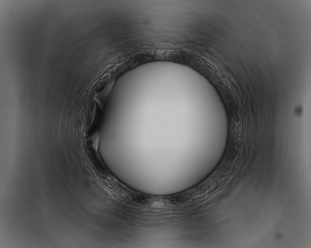 X0000099960750200806201337