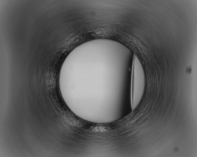 X0000099960751200806201337