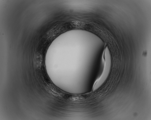 X0000099960752200806201337
