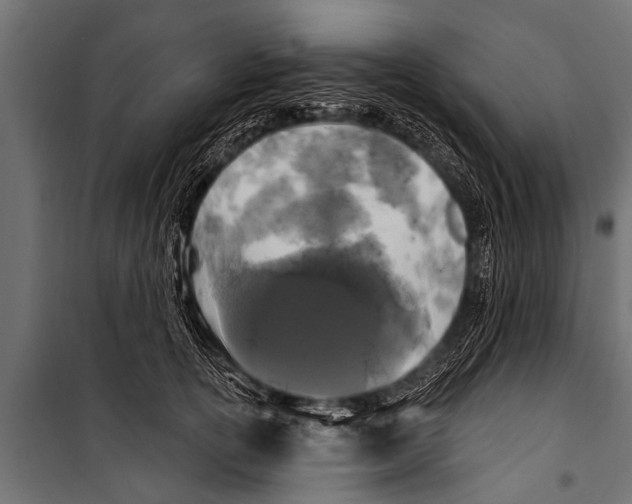 X0000099960754200806201337