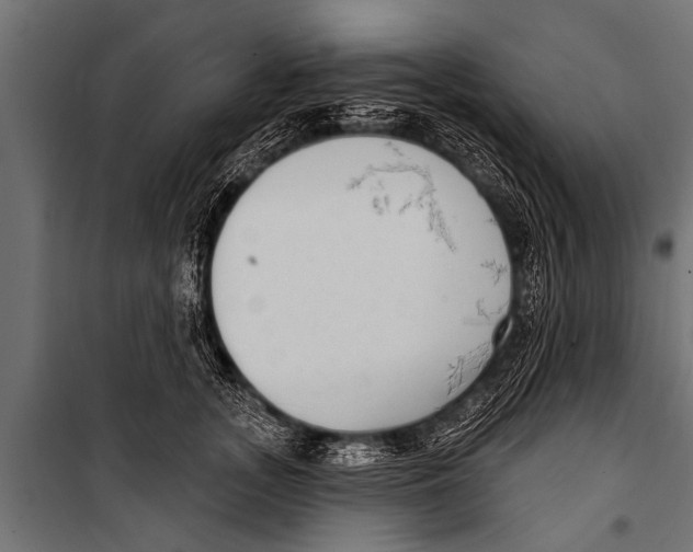 X0000099960755200806201337