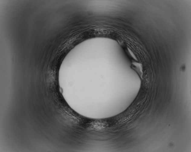 X0000099960756200806201337