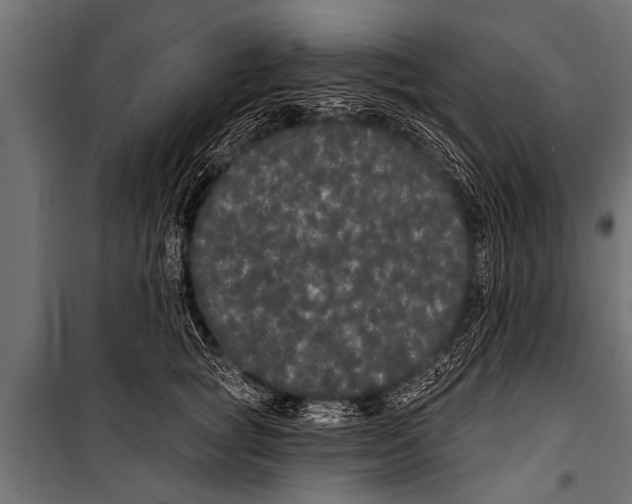 X0000099960757200806201337