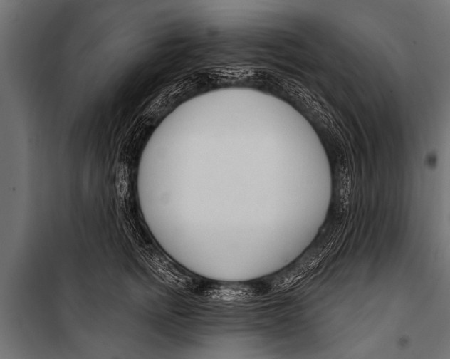 X0000099960758200806201337
