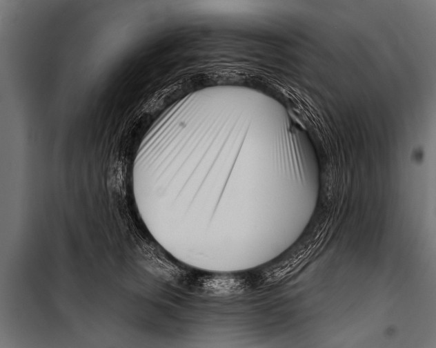 X0000099960759200806201337