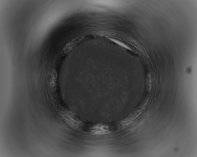 X0000099960760200806201337