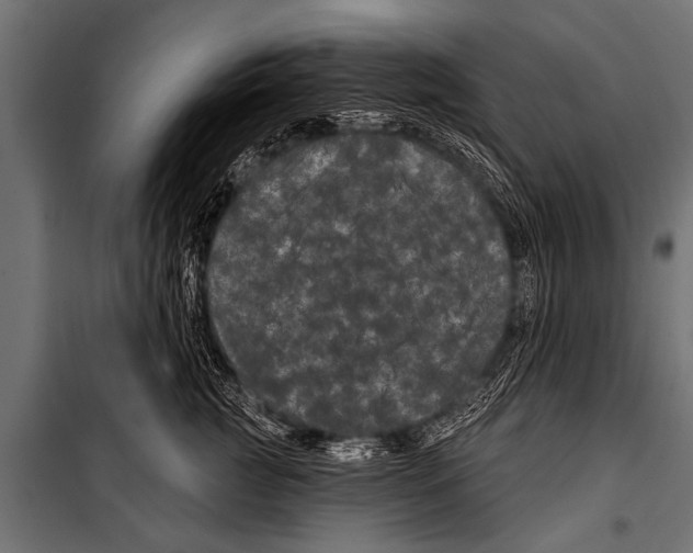 X0000099960761200806201337