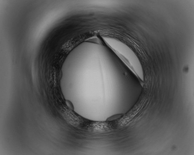 X0000099960762200806201337