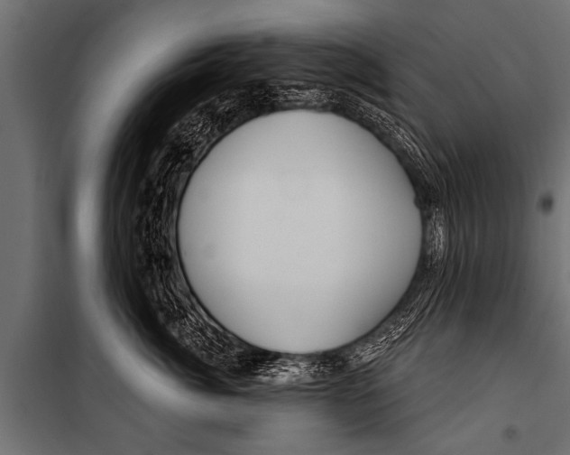 X0000099960764200806201337