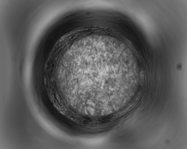 X0000099960765200806201337