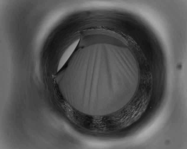 X0000099960766200806201337