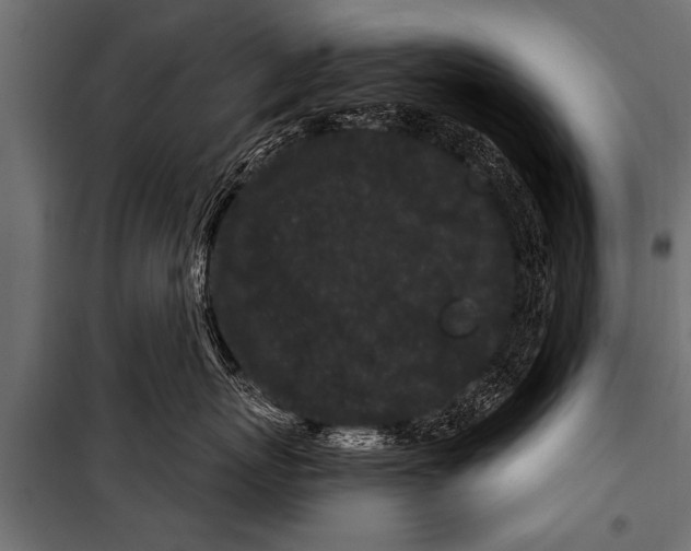 X0000099960767200806201337
