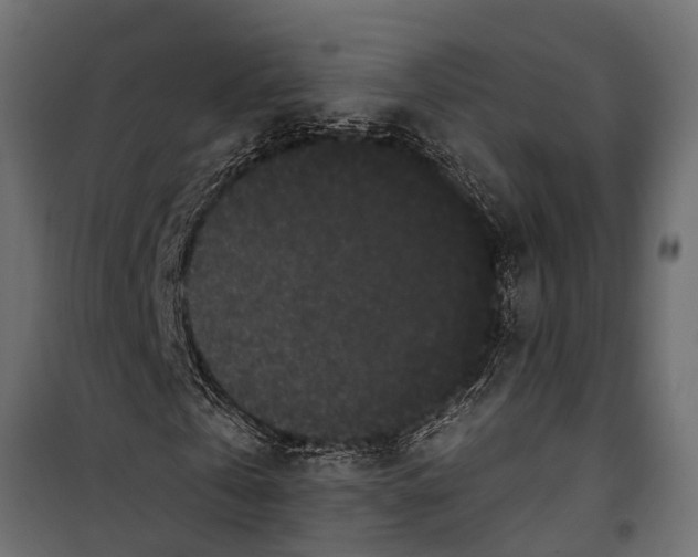 X0000099960769200806201336
