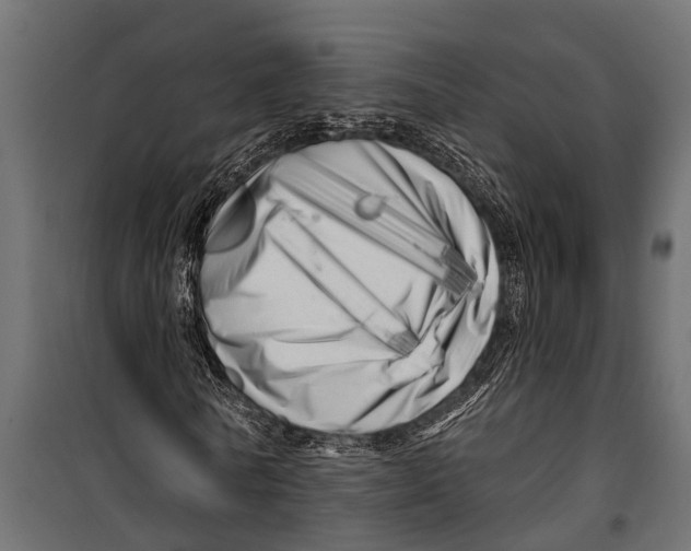 X0000099960770200806201336