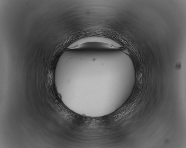 X0000099960772200806201336