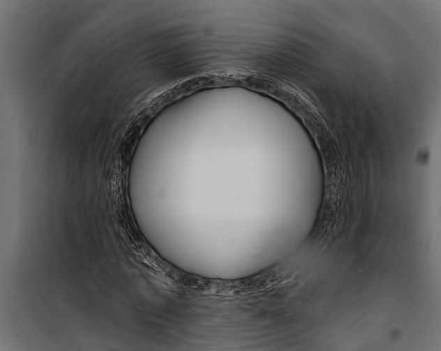X0000099960773200806201336