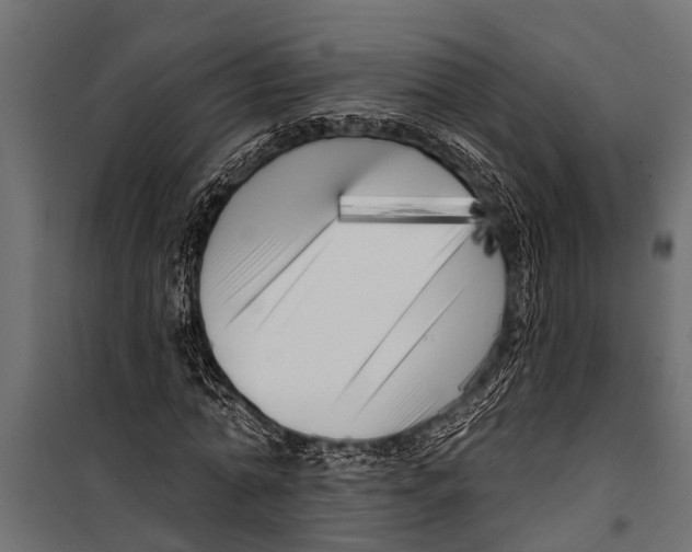 X0000099960774200806201336