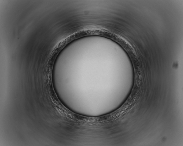 X0000099960775200806201336