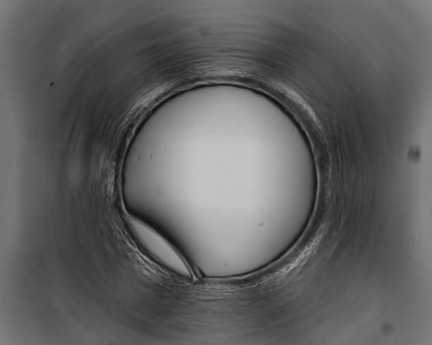 X0000099960777200806201336