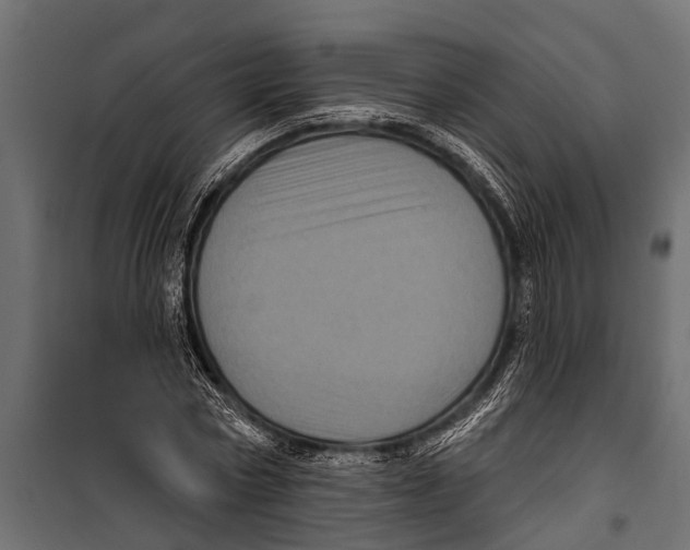 X0000099960778200806201336