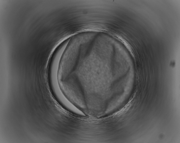 X0000099960779200806201336