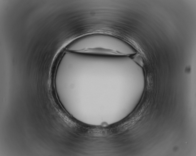 X0000099960780200806201336