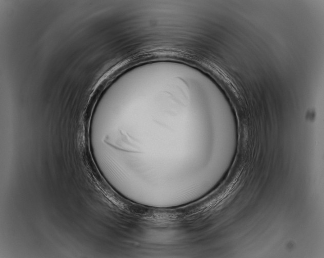 X0000099960782200806201336