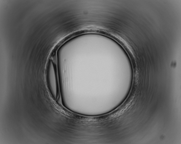 X0000099960783200806201336
