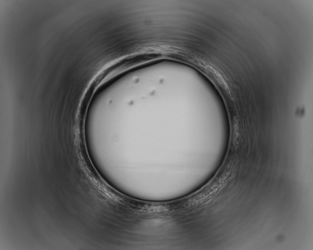 X0000099960784200806201336