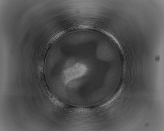 X0000099960785200806201336