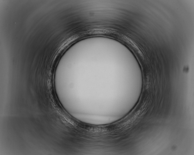 X0000099960786200806201336