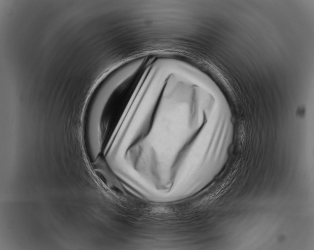 X0000099960787200806201336