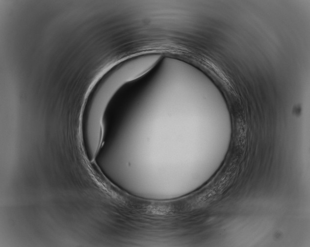 X0000099960788200806201336