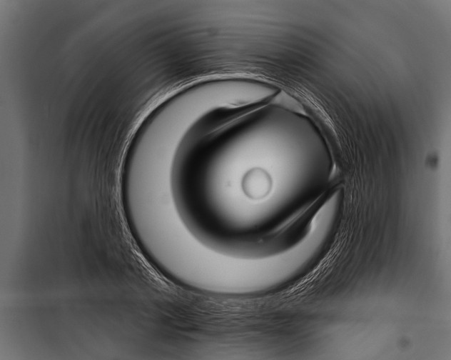 X0000099960789200806201336