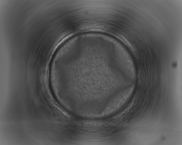 X0000099960790200806201336