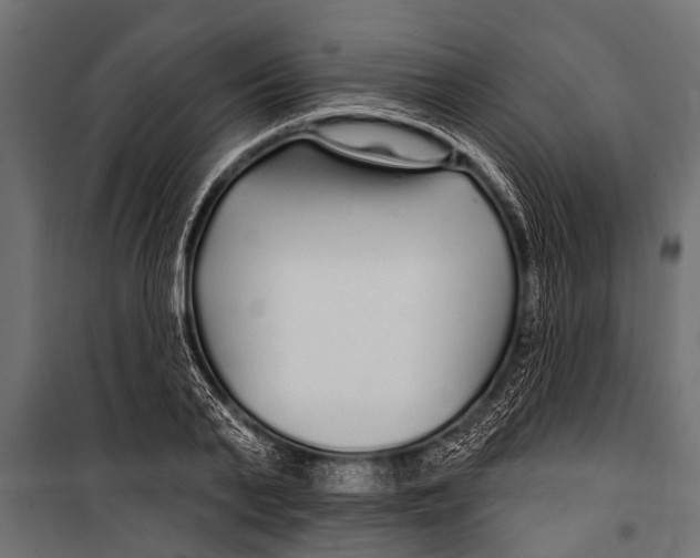 X0000099960791200806201336