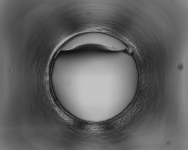 X0000099960792200806201336