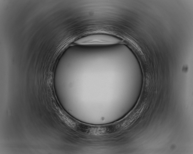 X0000099960793200806201336