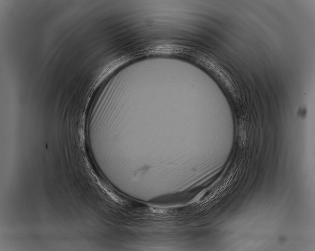X0000099960794200806201336