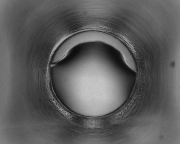 X0000099960796200806201336