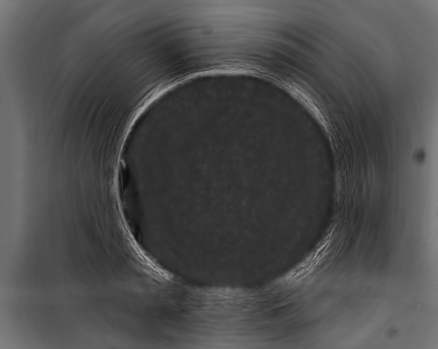 X0000099960797200806201336