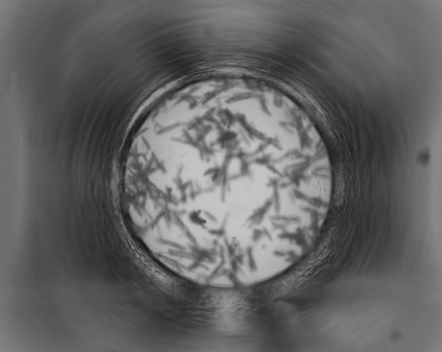 X0000099960798200806201336