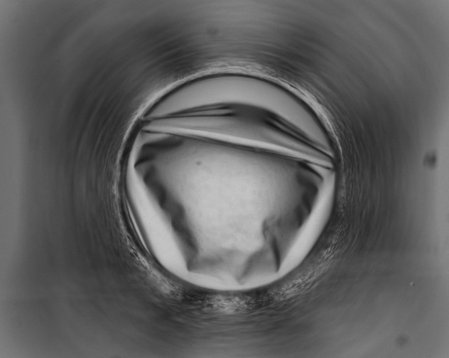 X0000099960799200806201336
