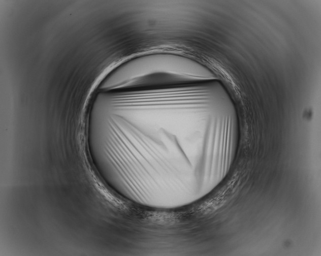 X0000099960800200806201336