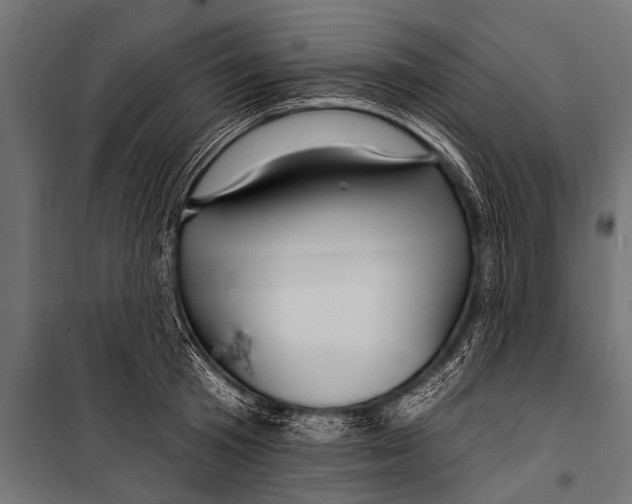 X0000099960801200806201336