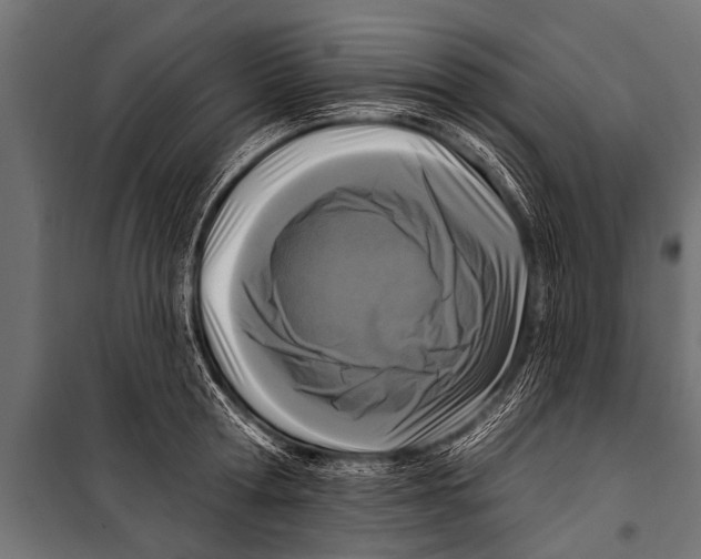 X0000099960802200806201336