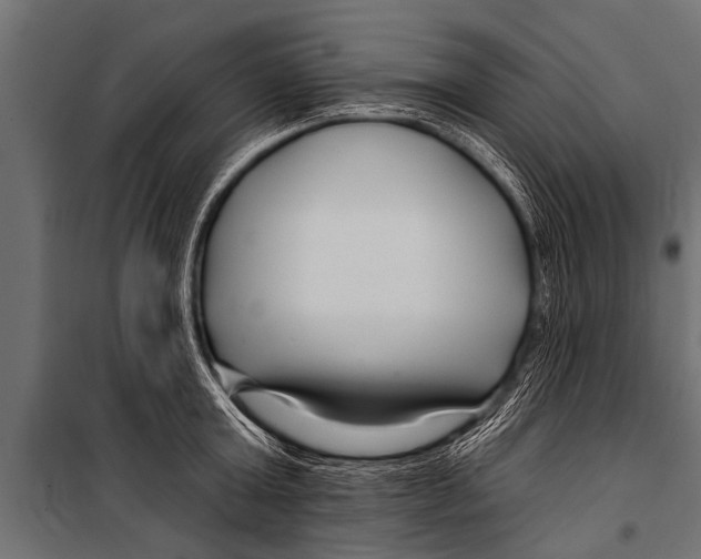 X0000099960803200806201336