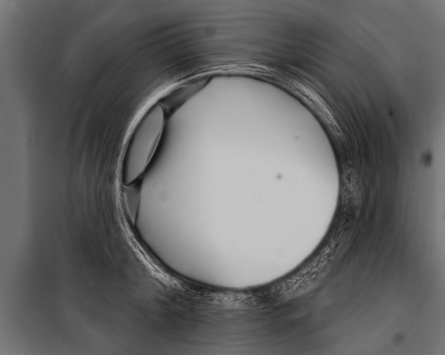 X0000099960804200806201336