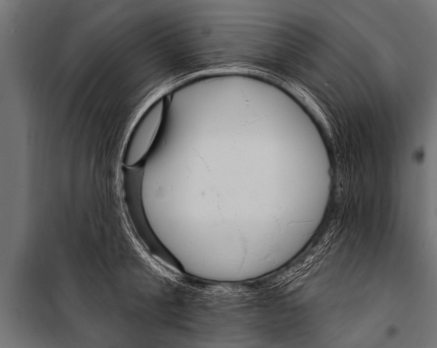 X0000099960805200806201336
