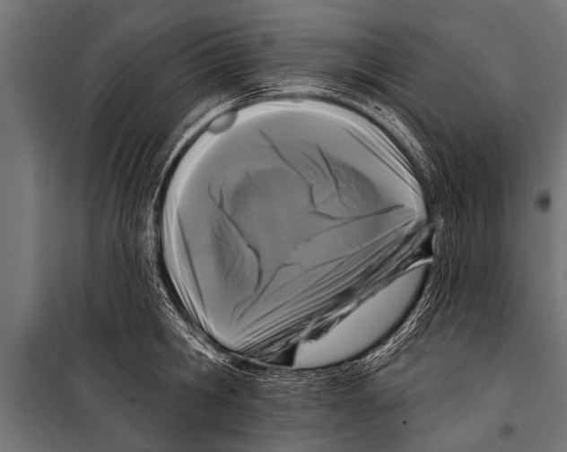 X0000099960806200806201336